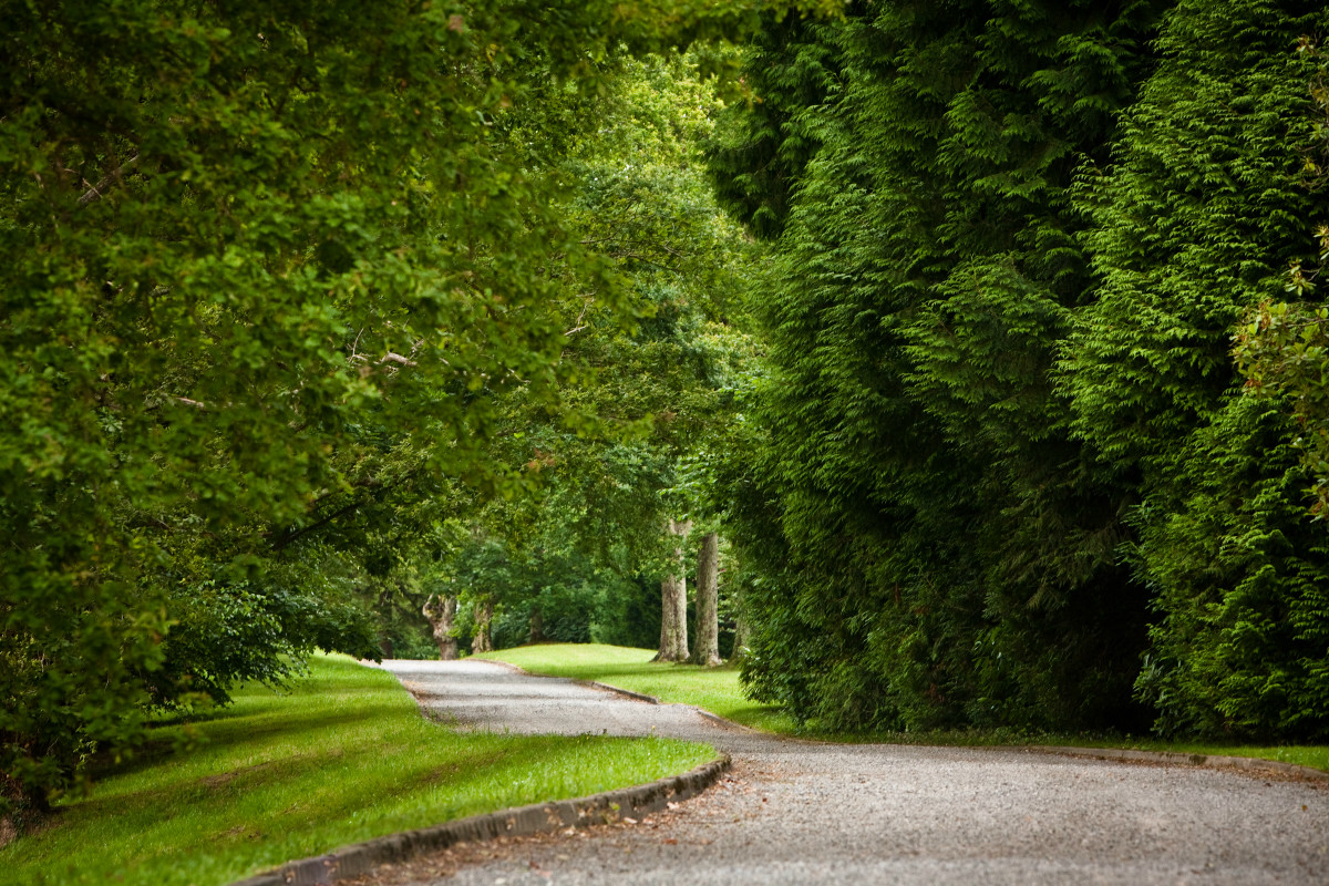 Photo: ©2012 Clos Mirabel